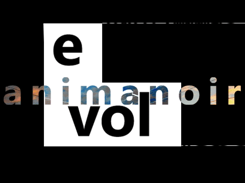 Evolución de Animanoir.com